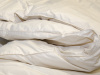  Одеяло Billerbeck Frieda Kassette II (теплое) +18°С и ниже, гусиный пух фото в интернет-магазине Герд Биллербек